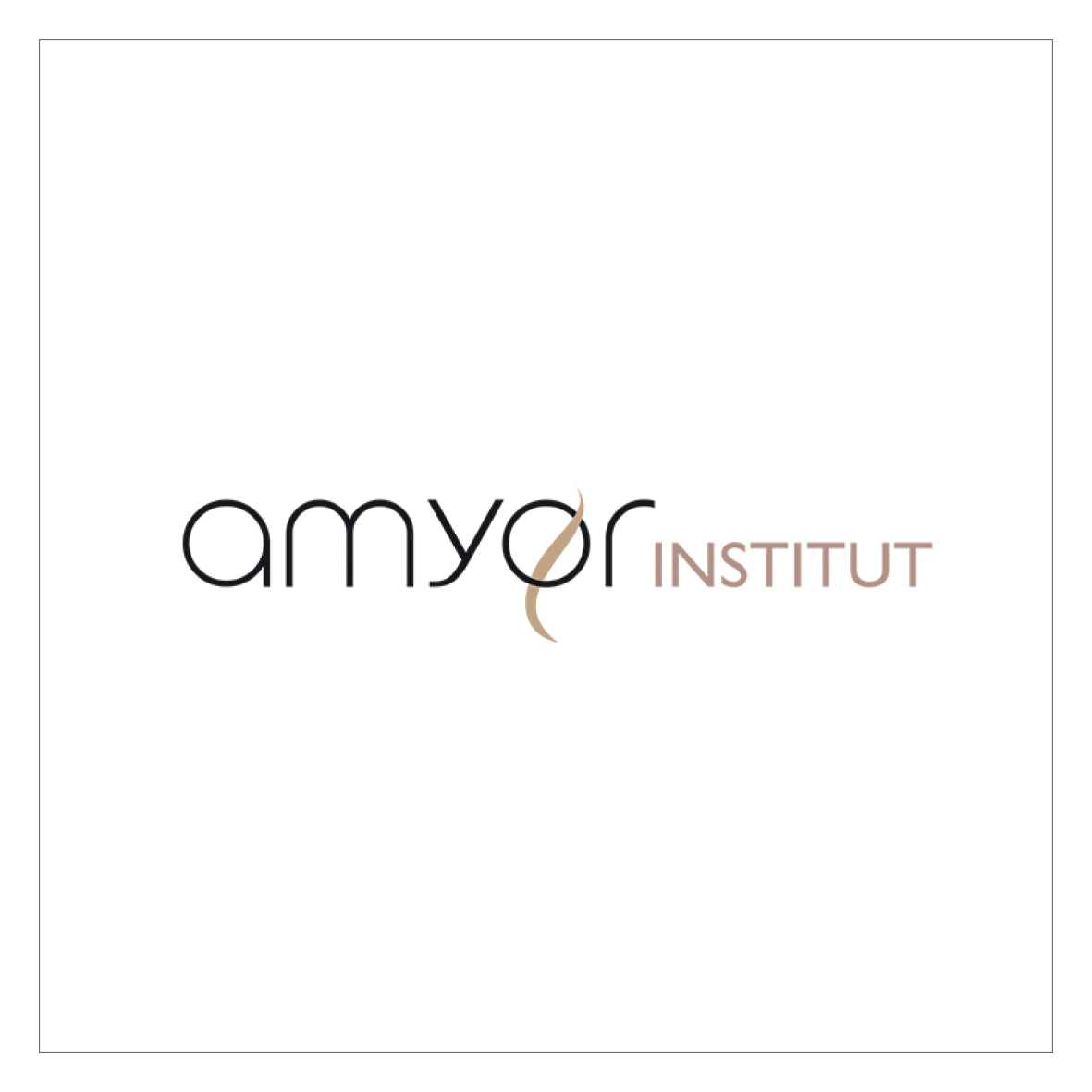 Amyor Institut